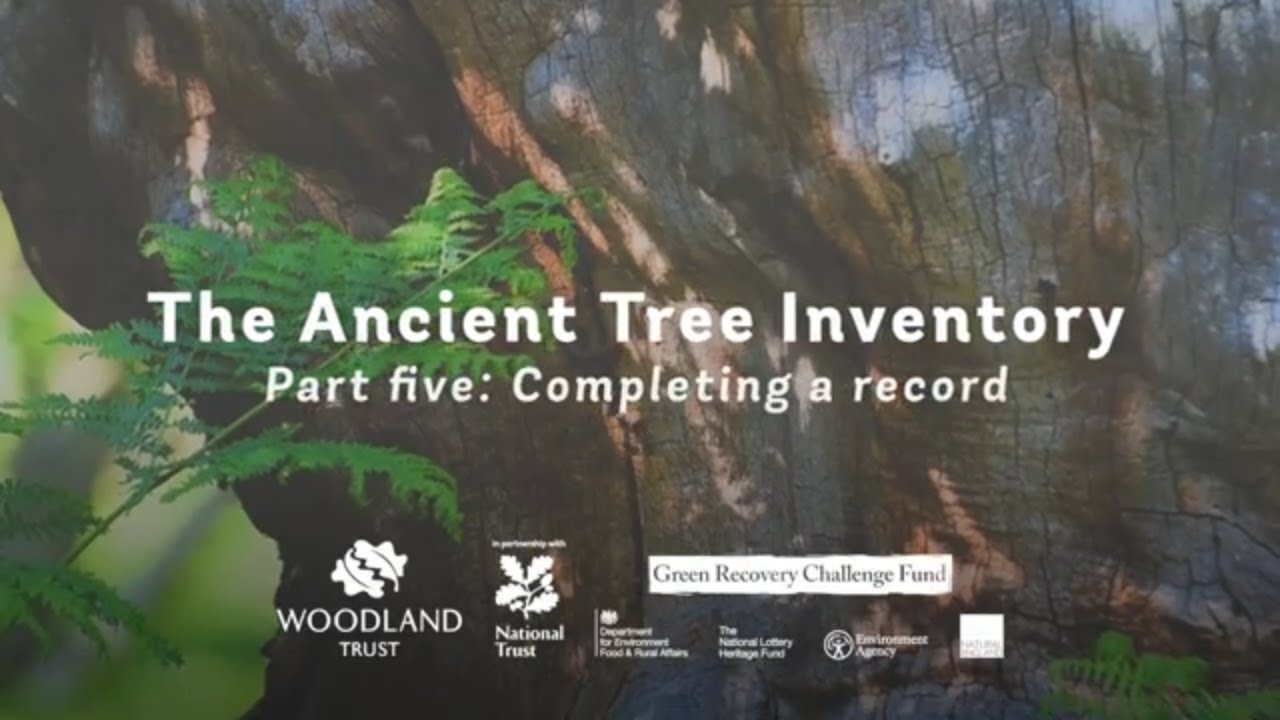 How to complete your record of an ancient tree | ATI Part 5