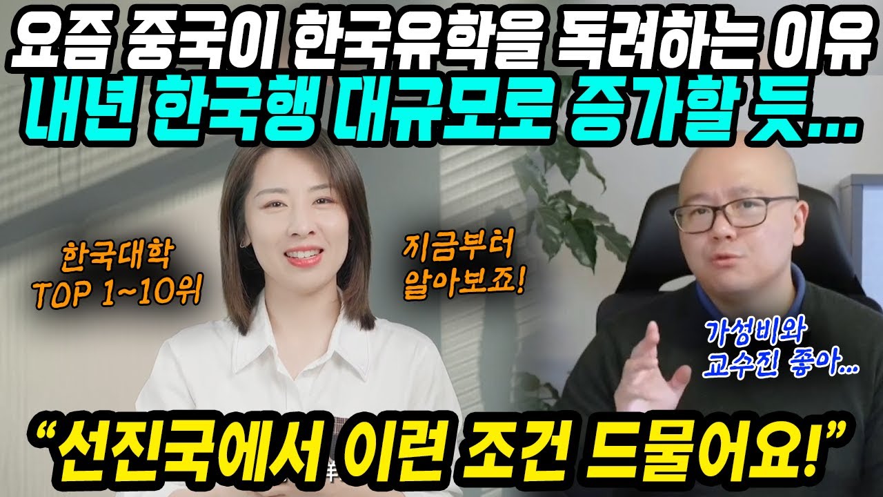 중국반응│내년 중국인 한국유학 대규모로 증가할 듯│요즘 중국이 한국유학을 독려하는 이유│가성비 교육수준 우수한 교수진 선진국에서 이런 조건 드물어요!│중국어로[路]