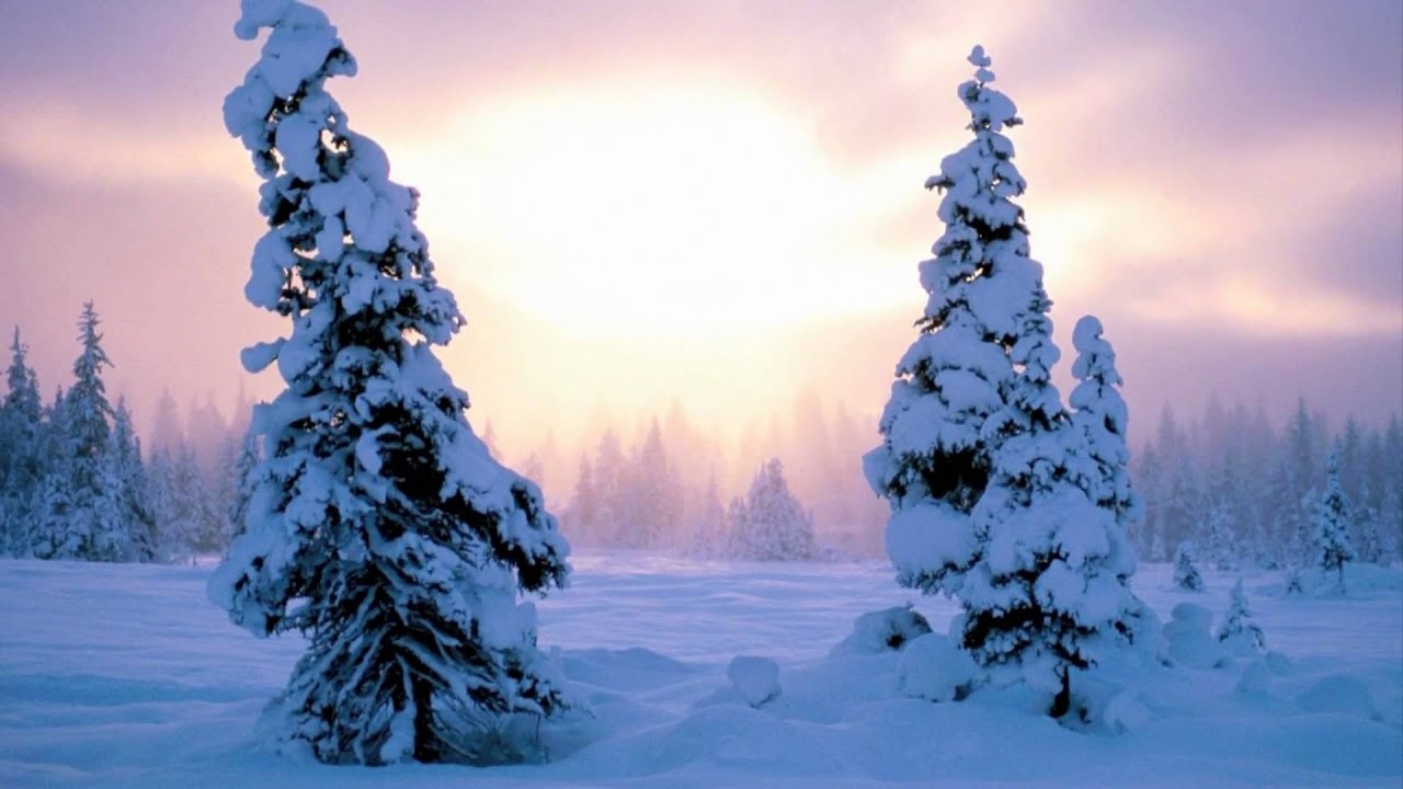 The Winter's Night