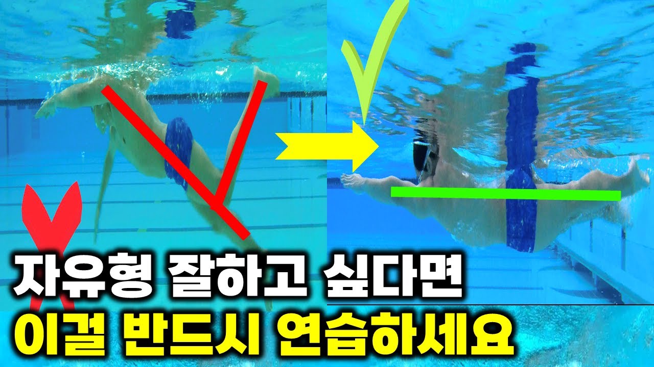 자유형을 잘하고 싶다면 이걸 반드시 연습해주세요 | 120분 연속 재생