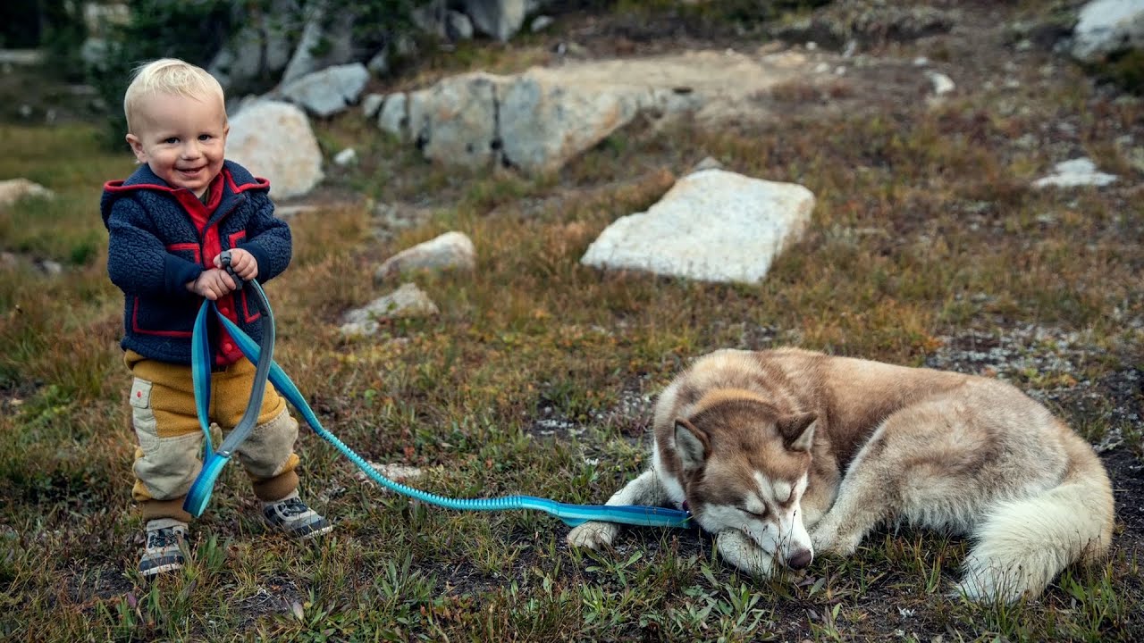 Taking a Family Road Trip | National Geographic