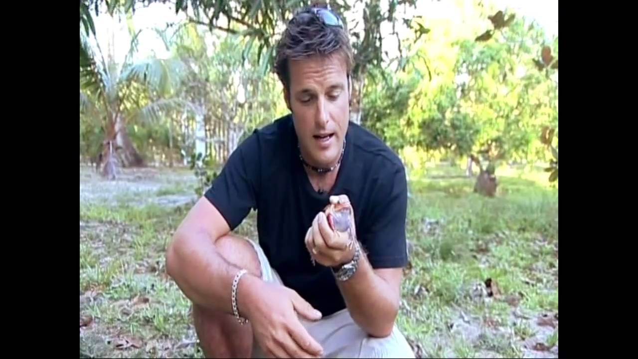 Funny, Nick Baker in Madagascar with tomato frog.mp4