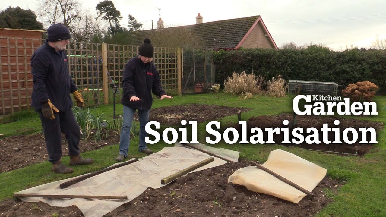 How to use 'Soil Solarisation' to Create a Cleaner Seed Bed