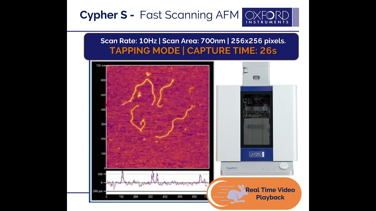 Fast Scanning AFM:  Cypher S imaging nucleic acids in tapping mode at 10Hz XY line rates