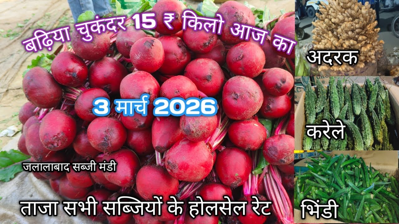 जलालाबाद सब्जी मंडी 3 मार्च 2026#streetfood #vegitablemarket #indianmarket #sabjimandi 