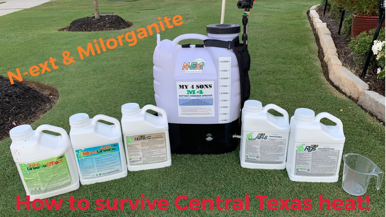 How to Have a Healthy Lawn in Central Texas Heat