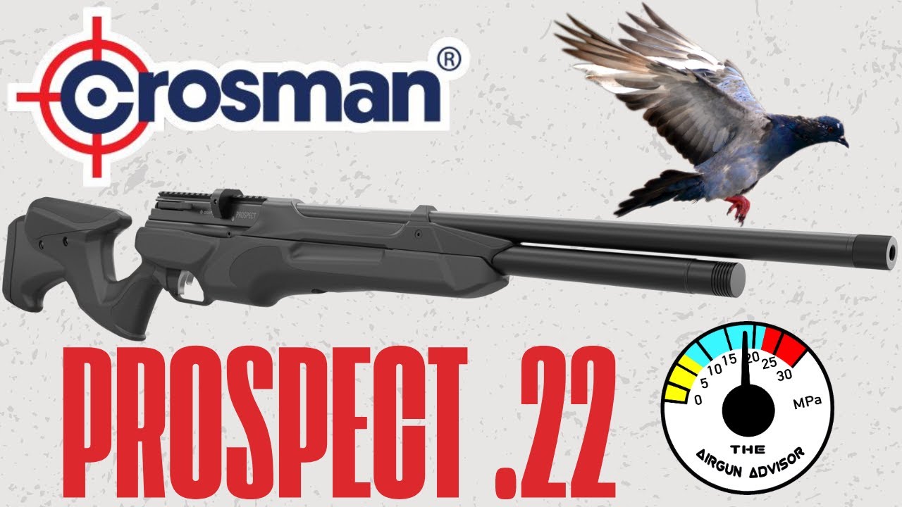 Crosman Prospect .22 - Is it any good?