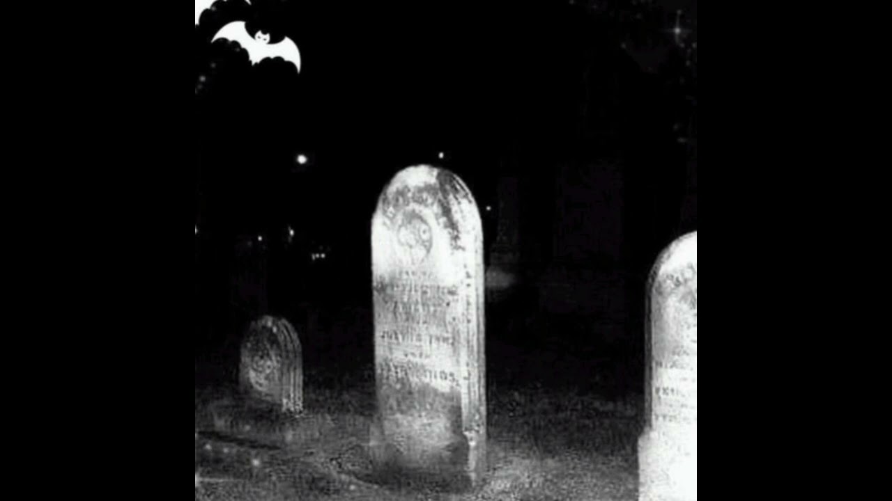 dollreal - party at the graveyard w/ p6inkillr + z4y4 (z4y4) 