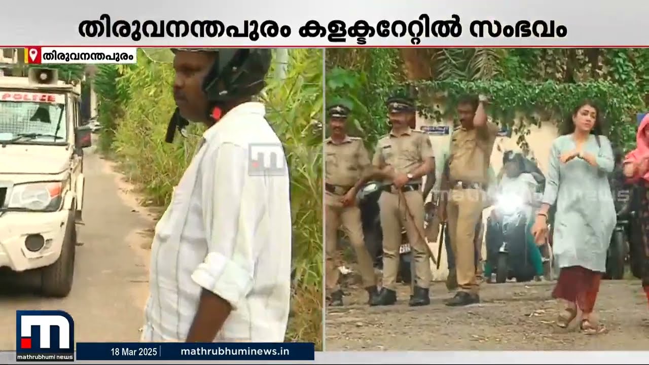 കളക്ടറേറ്റിൽ ബോംബ് സ്ക്വാഡ് പരിശോധനയ്ക്കിടെ തേനീച്ചക്കൂട് ഇളകി; നിരവധി പേർക്ക് കുത്തേറ്റു