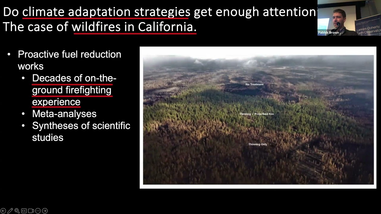 Do Climate Adaptation Strategies Get Enough Attention: The Case of Wildfires in California
