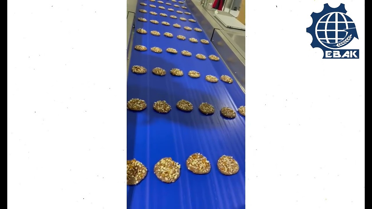 ALD600 Automatic line for production of dough products Αυτόματη γραμμή παραγωγής προϊόντων ζύμης