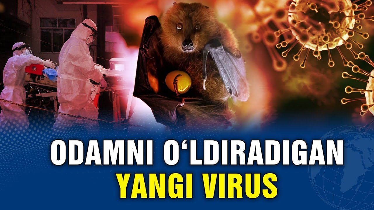 VAKSINASI VA DAʼVOSI YO&lsquo;Q: NIPAH NIMA?
