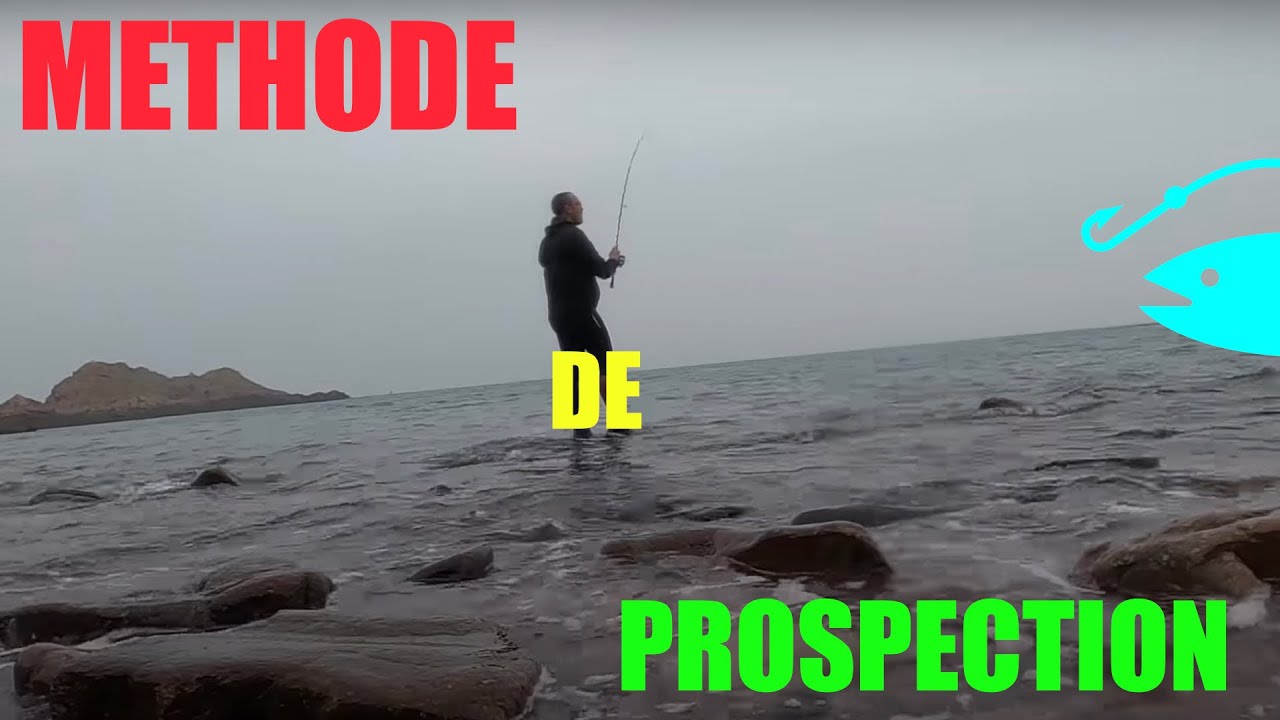 Pêche aux bars du Bord 2020 : Secrets de prospection révélés