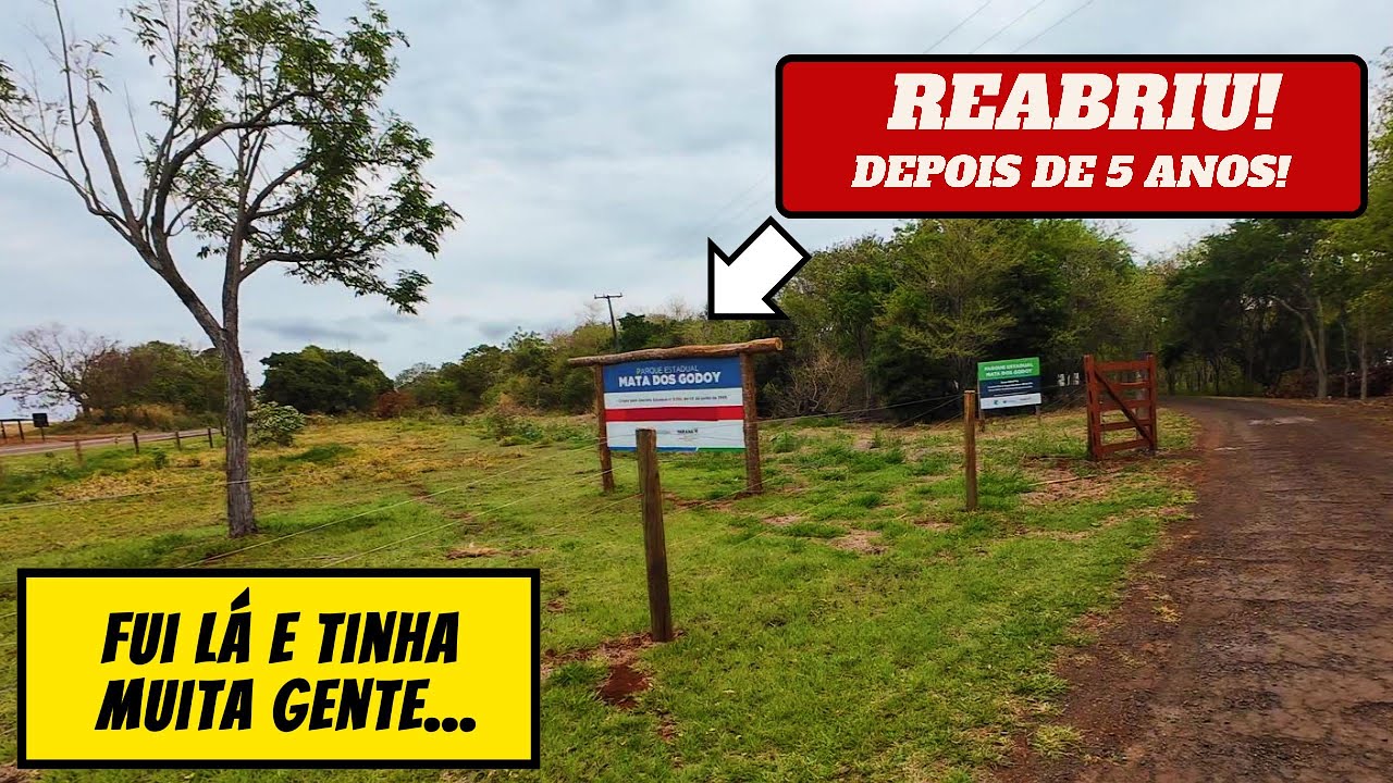 MATA DOS GODOY EM LONDRINA PR REABRIU DEPOIS DE 5 ANOS! | Fui Lá e Tinha Alunos e a Imprensa!!!