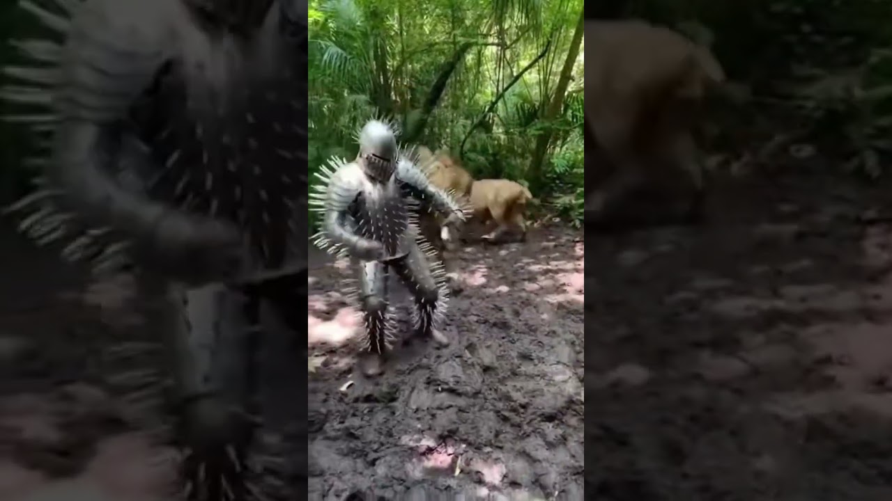 Real-Life Gladiator! Lion Attack Survival 🤯