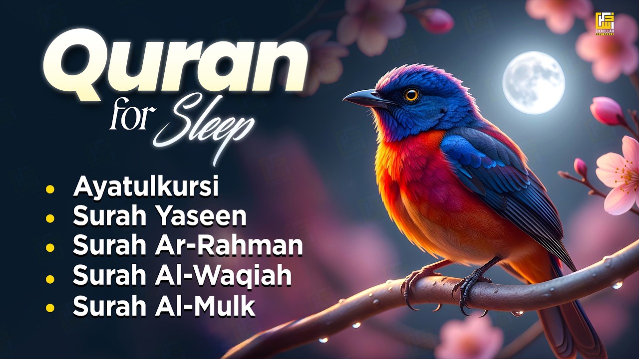 Relaxing Quran Recitation for Sleep | Ayatul Kursi, Yasin, Ar-Rahman, Al Waqiah, Al Mulk | Zikrullah