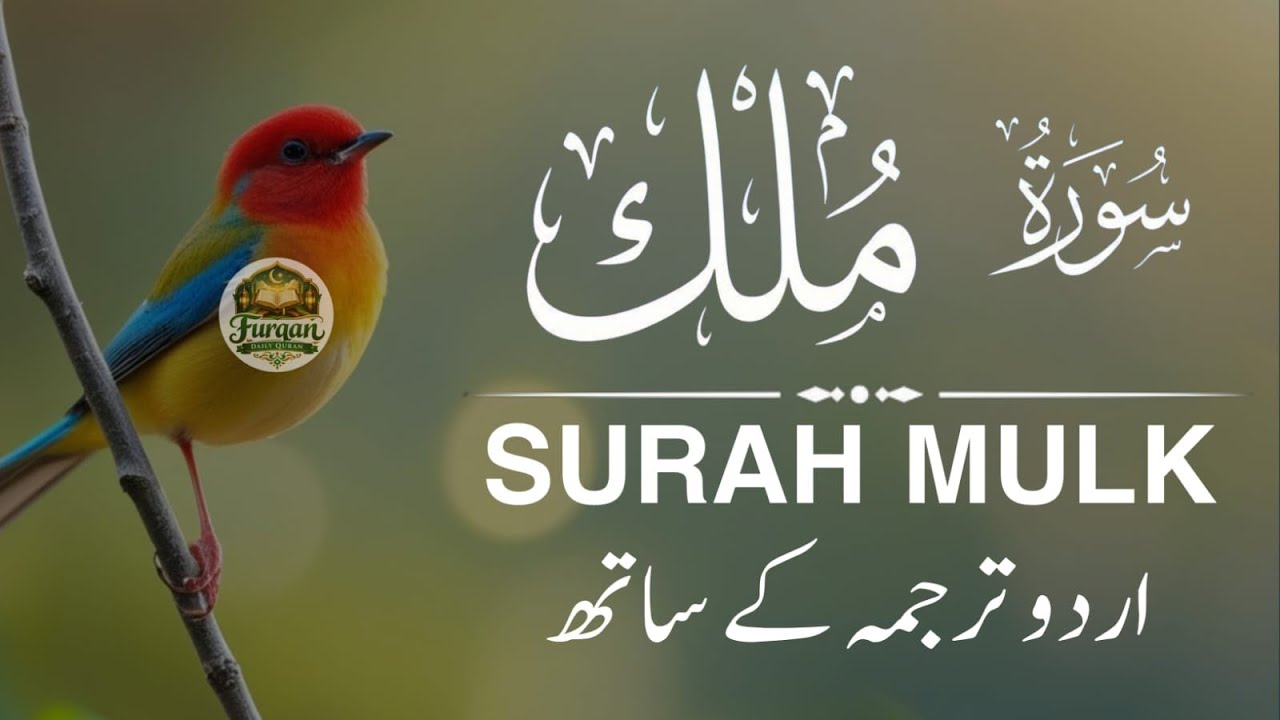 Surah Mulk With Urdu Translation By Qari Ala Aqel | Urdu And Hindi Tarjuma Episode 24