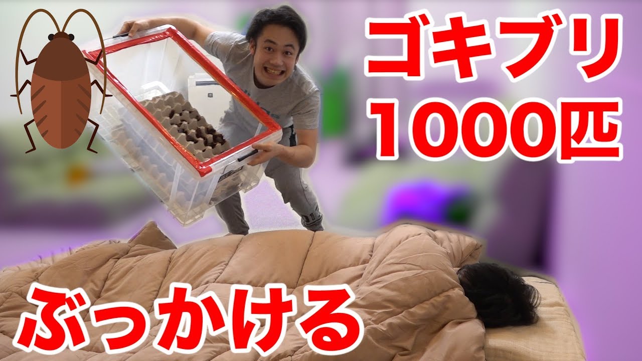 【閲覧注意】寝起きにゴキブリ1000匹降ってくるドッキリの反応が面白かったwww