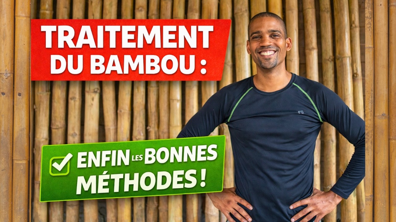 Traitement du bambou : 3 méthodes fiables et efficaces