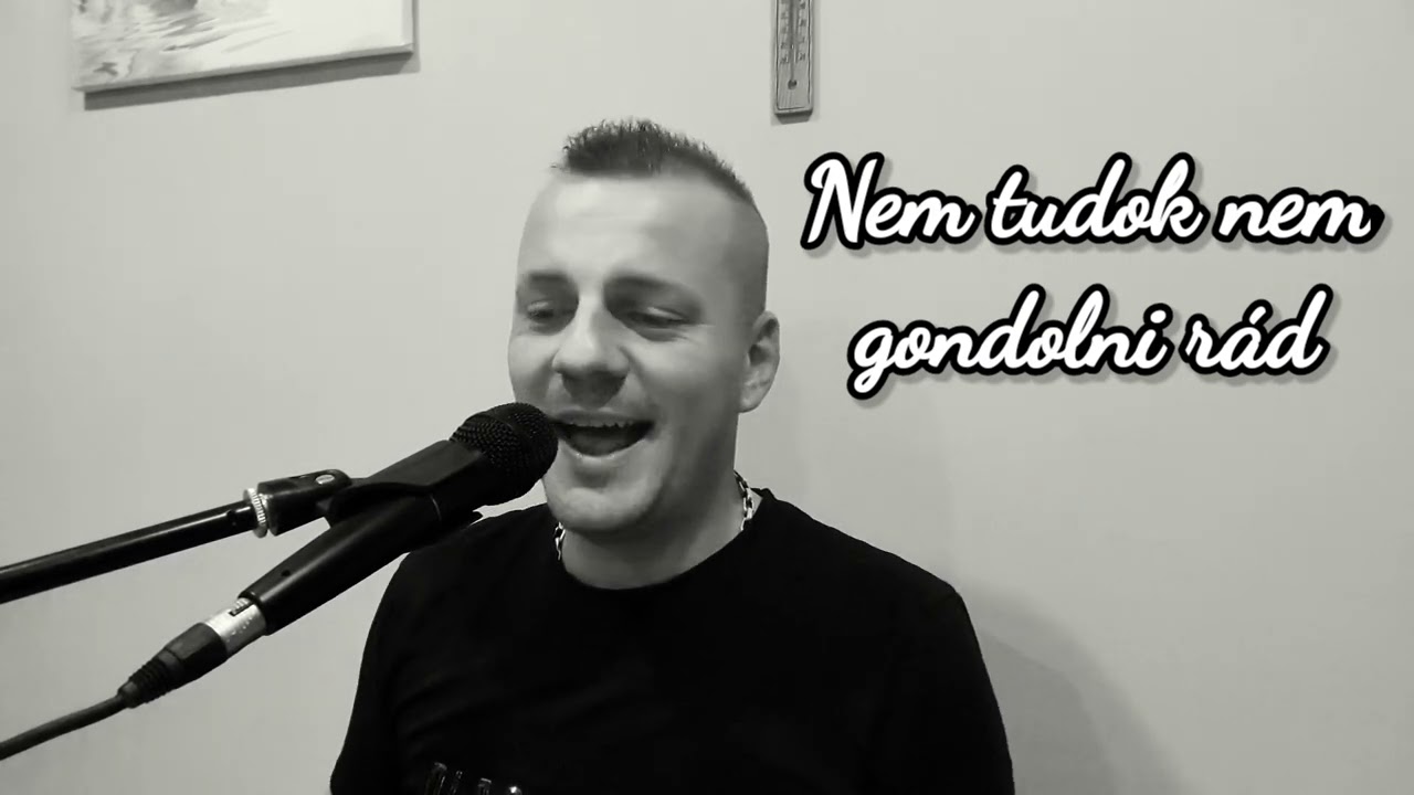 Boros Öcsi - Nem tudok nem gondolni rád ( Auth Csilla Cover ®️emix )