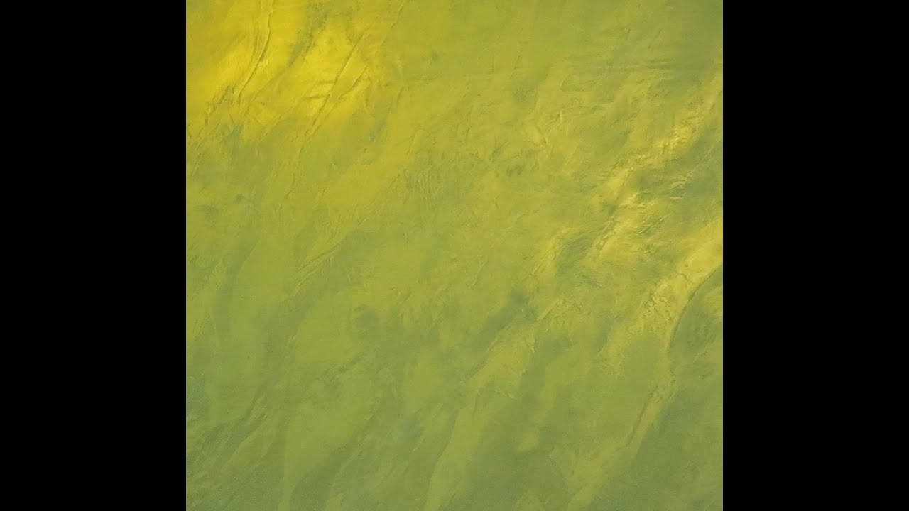 Aureum (Oikos)