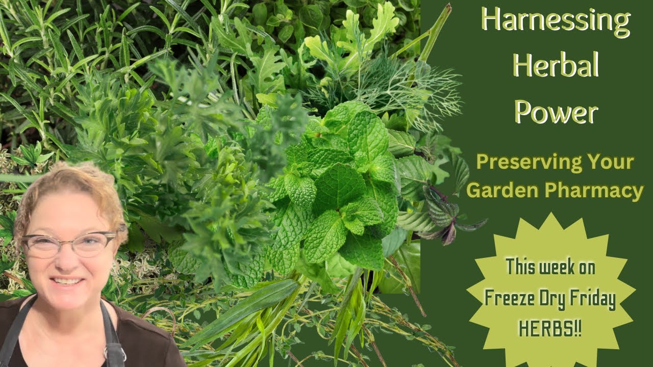 Freeze Drying Herbs is a GAMECHANGER for Your DIY Apothecary