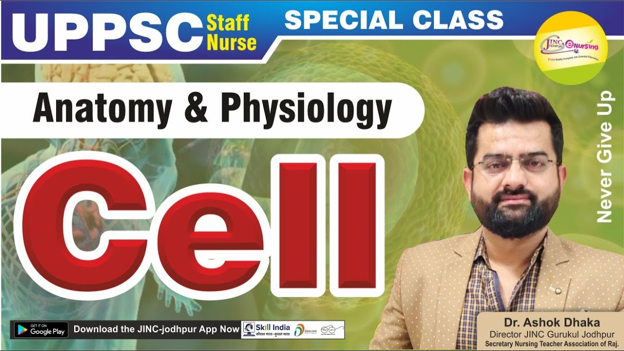 Cell (Anatomy & Physiology)