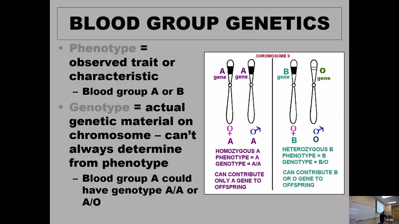 BB Lecture 3 Blood Bank Genetics
