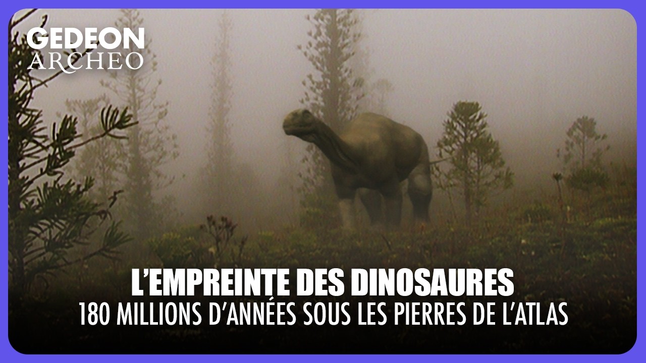 L’EMPREINTE DES DINOSAURES – Les fossiles prennent vie dans l’Atlas marocain | DOC COMPLET