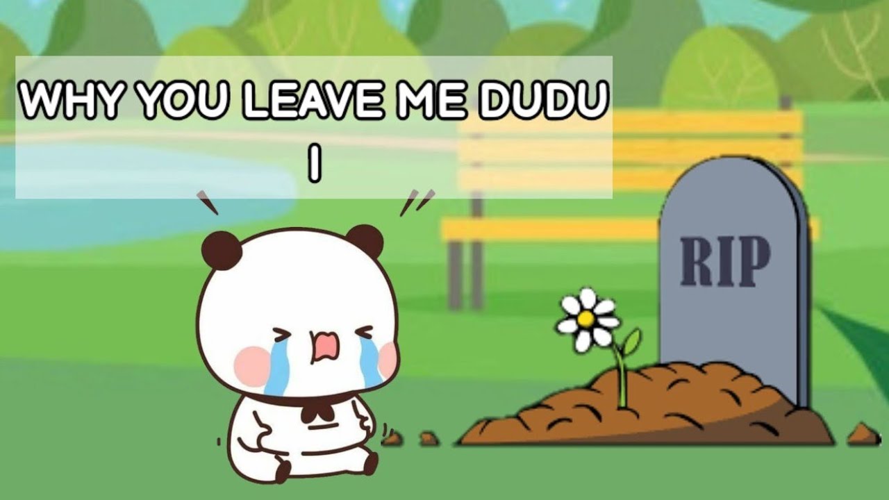 Dudu's funeral | what happened with dudu | #bubu#dudu#bubududu#cutecouple#love