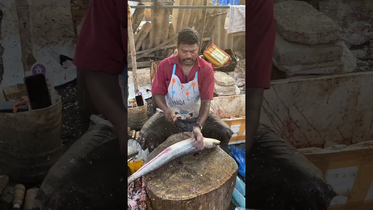 Big Cobia Fish Cutting🔥🔪#shorts