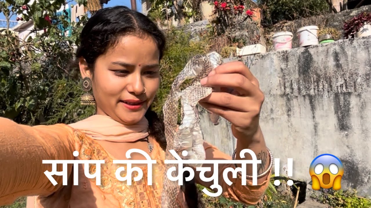 सांप की केंचुली !! #bhawanadancer #villagelife #vlog #uttarakhand #pithoragarh #kumauni #viral 