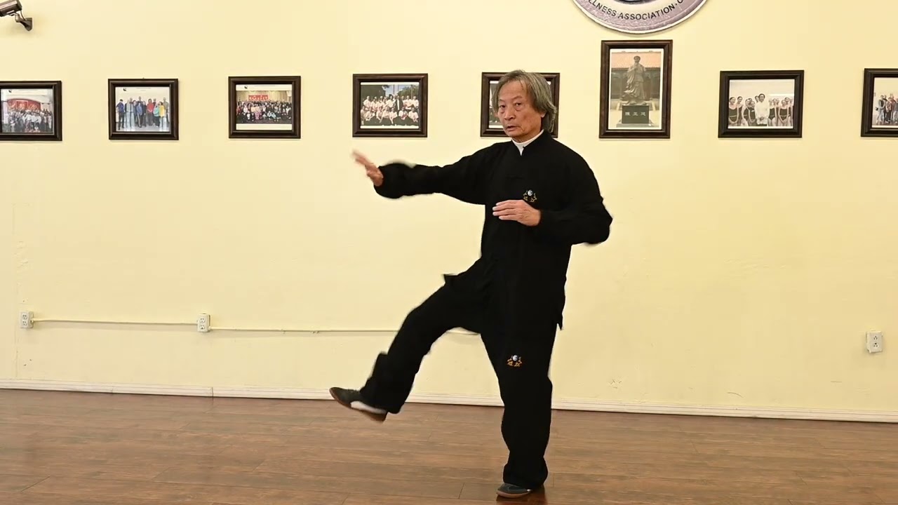 A Lifetime of ChenTaiChi XingjiaYiLu, New Form, First Route Part II