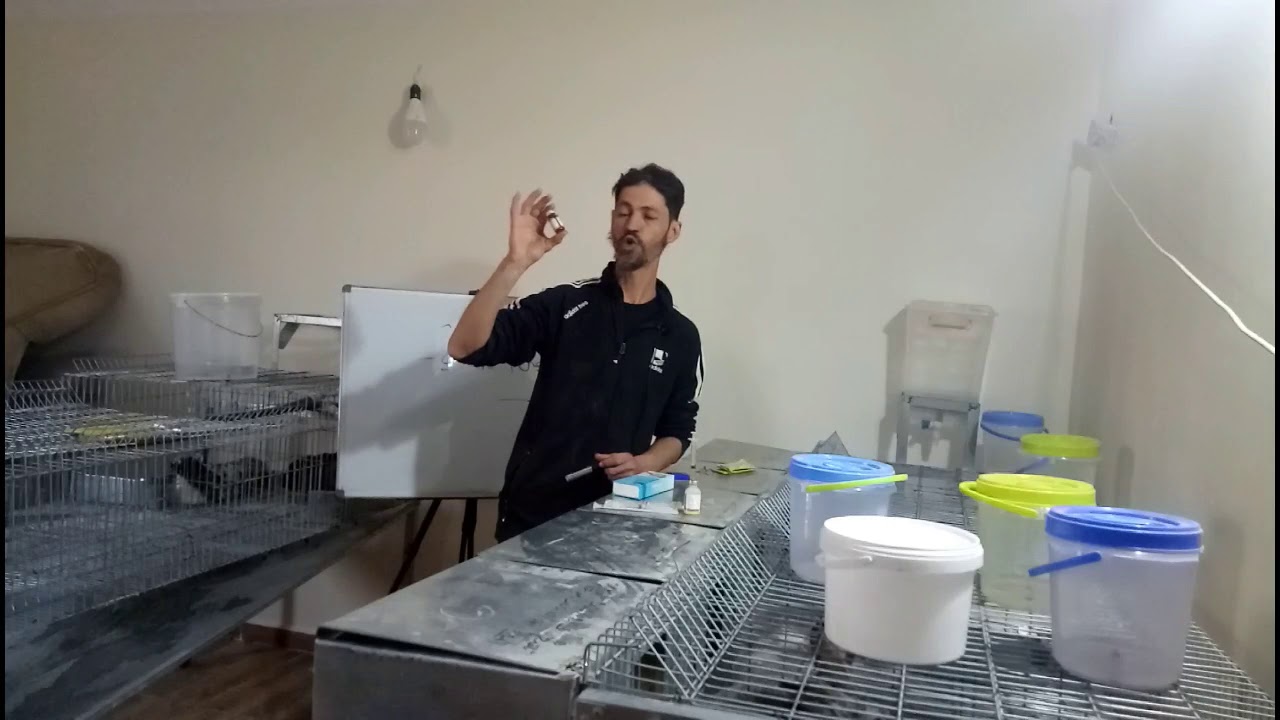 التحصين الدموي الفيروسي اجباري و ليس اختياري