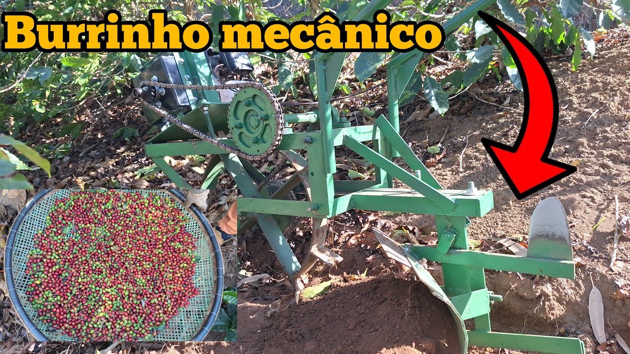 Mostramos os benefícios de se ter um burrinho mecânico