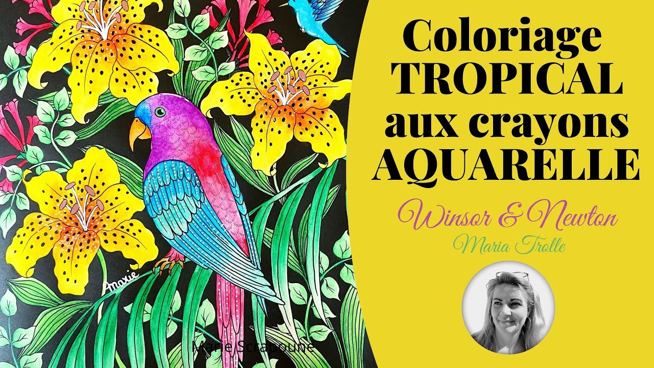 REUSSIR très facilement un COLORIAGE AQUARELLE avec des crayons Issu du livre de Maria Trolle