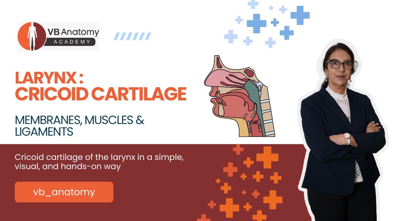 Larynx – Cricoid Cartilage | Membranes, Muscles & Ligaments