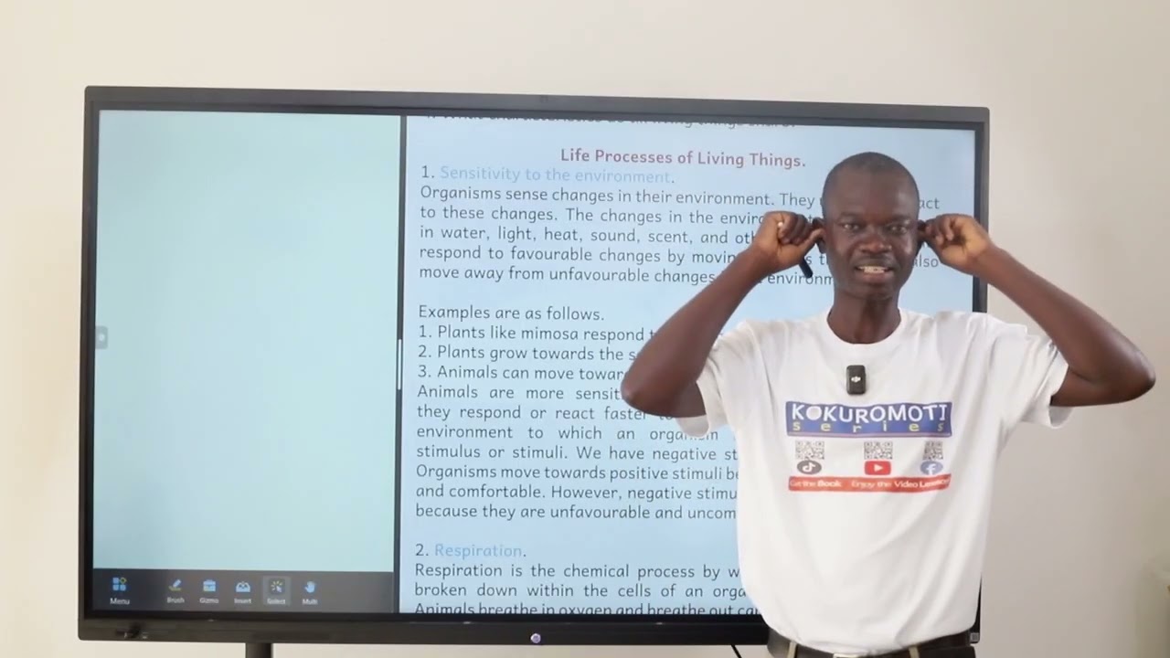 B5:1.1.1.1: The Life Processes Of Living Things. 