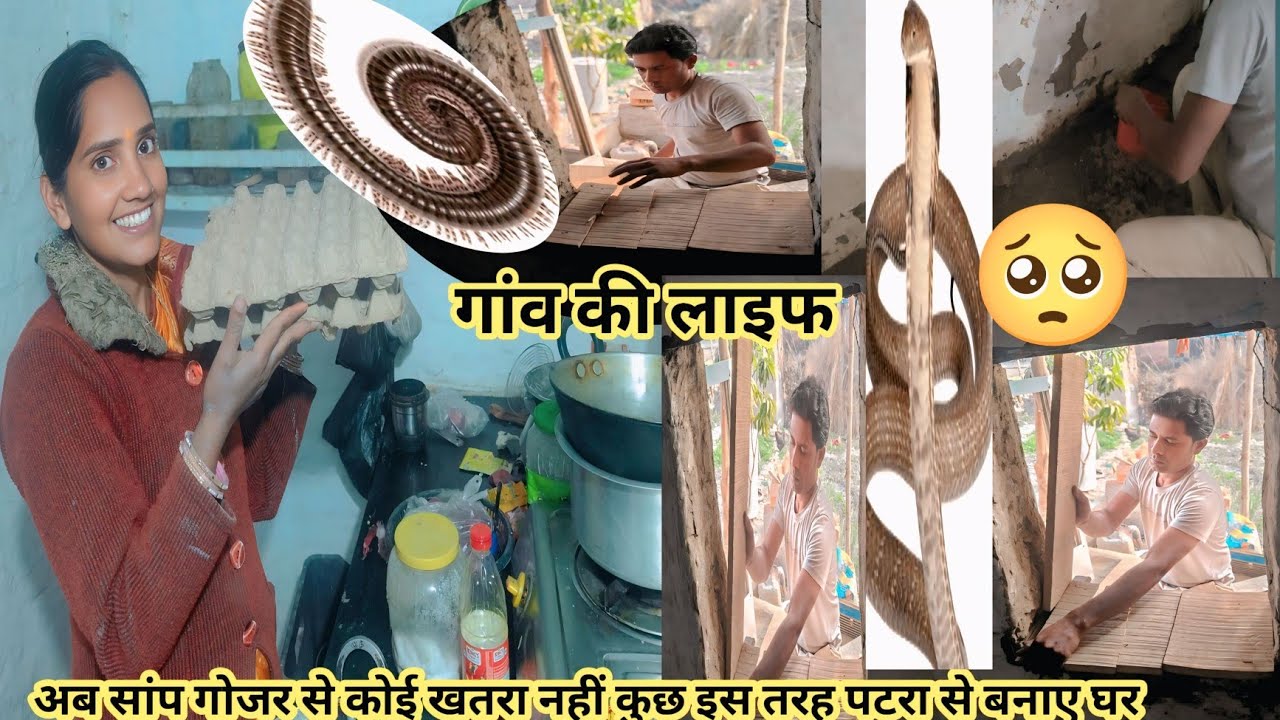 अब कोई खतरा नहीं है सांप गोजर से कुछ इस तरह घर को पटरा se बनाए @kisanokiDuniyaDehativlogs #village 