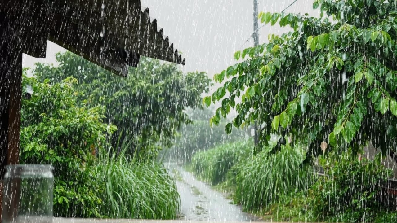 Rain Sounds 🌧️ | Heavy Rain Designed to Help You Let Go and Fall Asleep Calmly