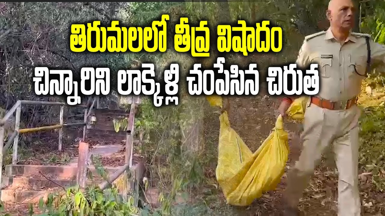 Tirumala Alipiri Missing Girl Incident | Leopard Attacked a 6 Year Old Girl Lakshita |Samayam Telugu