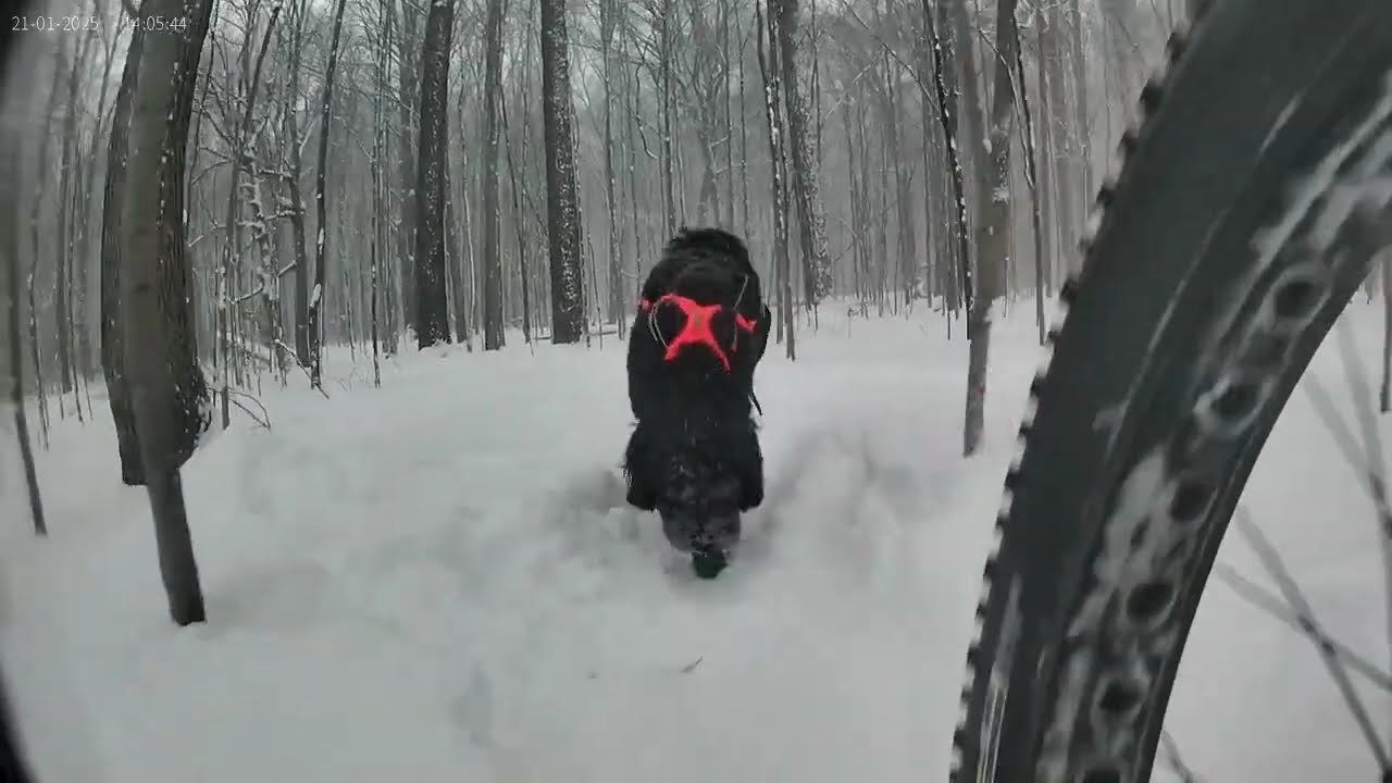 First Winter Fatbike Ride With My Trail Buddy Raven | Trail Paws & Pedals