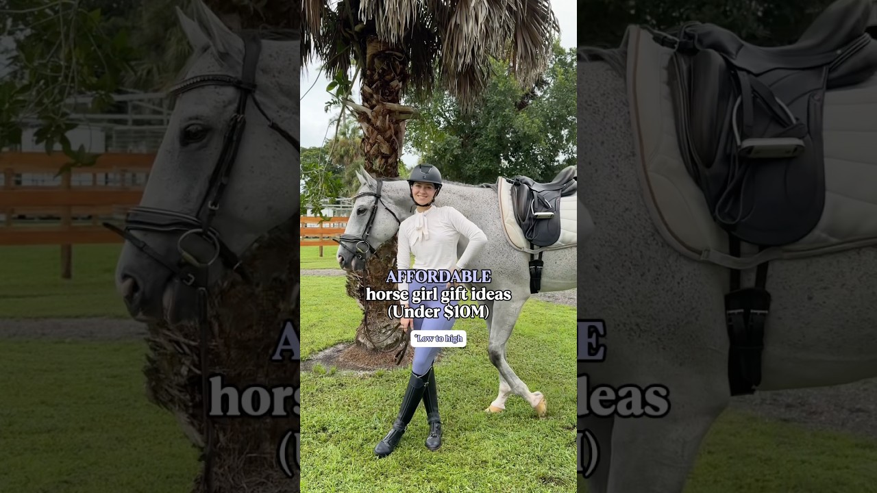 Affordable horse girl gift ideas under $10M 🐎🎁😂 #equestrian #horseworld #comedy #equestrianlife