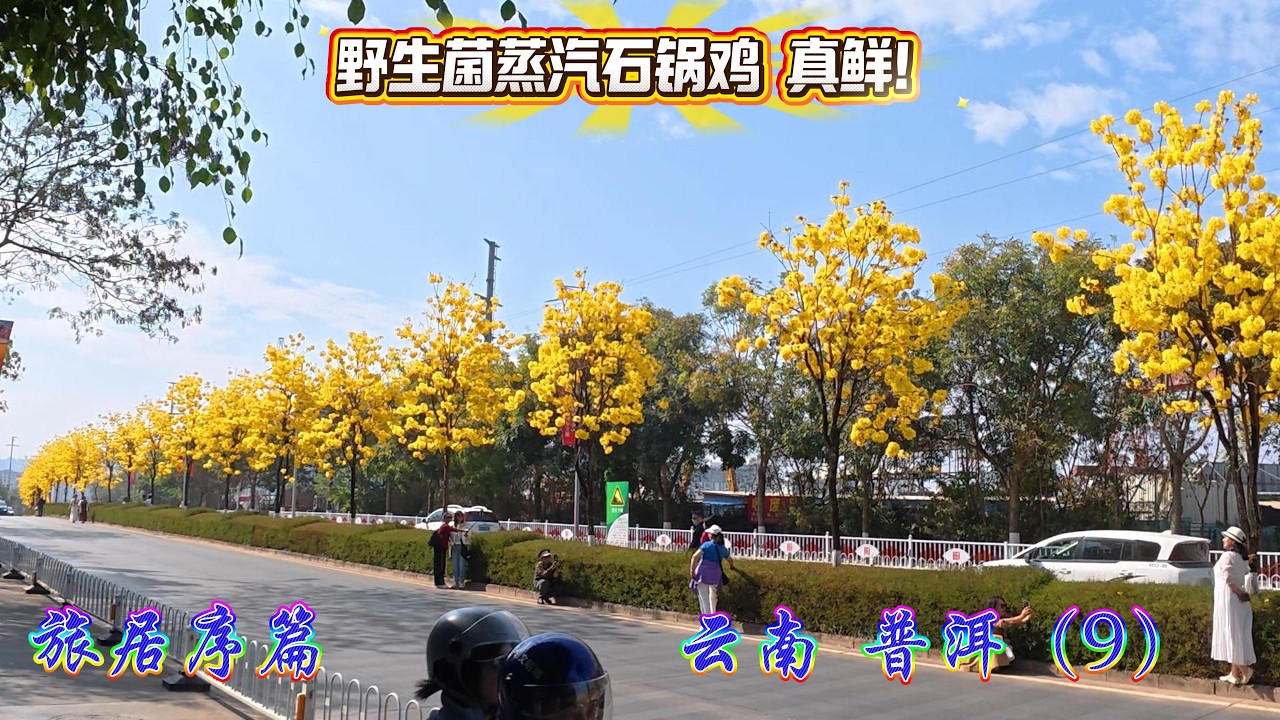 【旅居序篇】云南 普洱 石龙河湿地公园 倒生根公园 野生菌蒸汽石锅