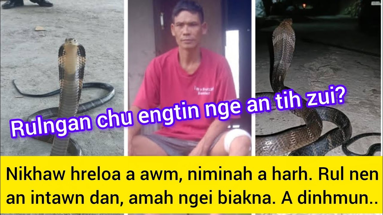 Rulngan lian tak 2-in a rualin an chuk. Thi turah an ngai, amah pawh a inngai, mahse..!?