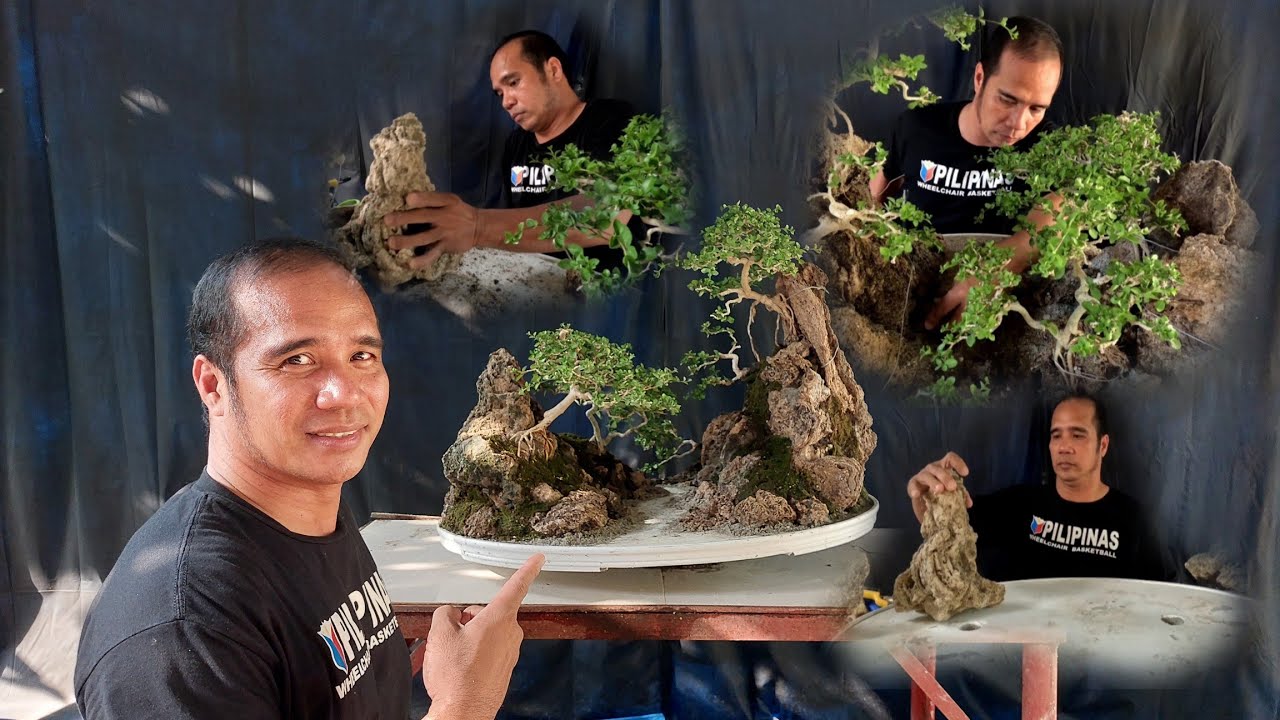 PAANO GUMAWA NG MAGANDANG PENJING. #bonsai #bonsailovers #bonsaitree #tutorial #penjing