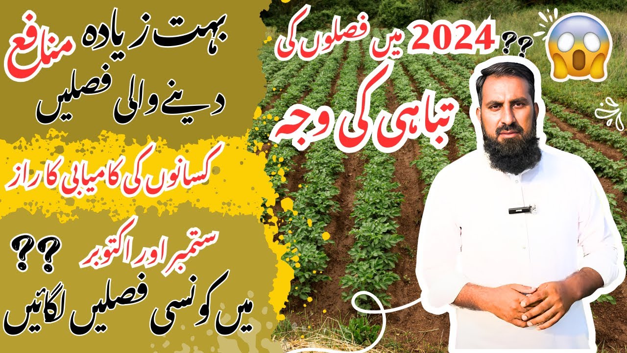 What to grow in September and October 2024 |ستمبر اور اکتوبر 2024 میں کیا اگایا جائے |IR FARM