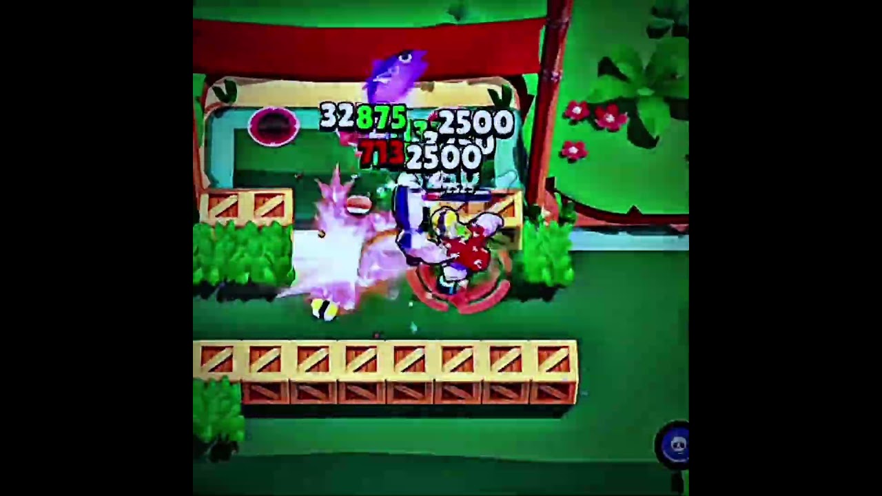 W Ranking ?||Pls Support || 