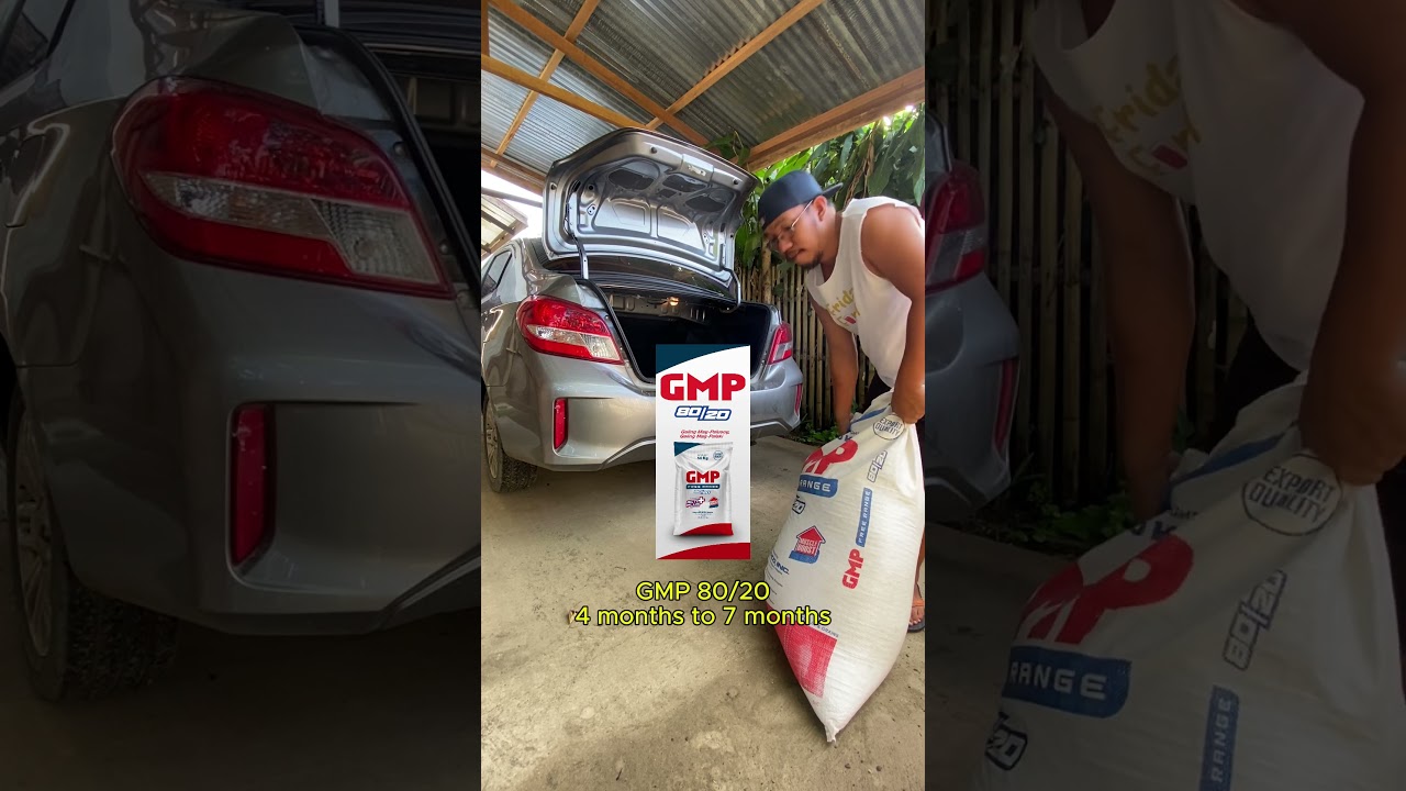 GMP FEEDS! BACKYARD LEVEL!