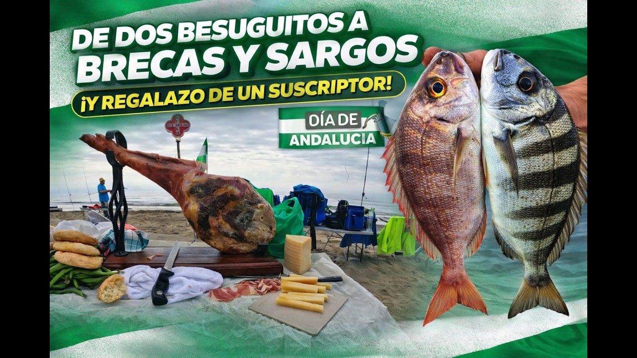 DE DOS BESUGUITOS A BRECAS Y SARGOS ¡Y REGALAZO DE UN SUSCRIPTOR! 🎣🔥